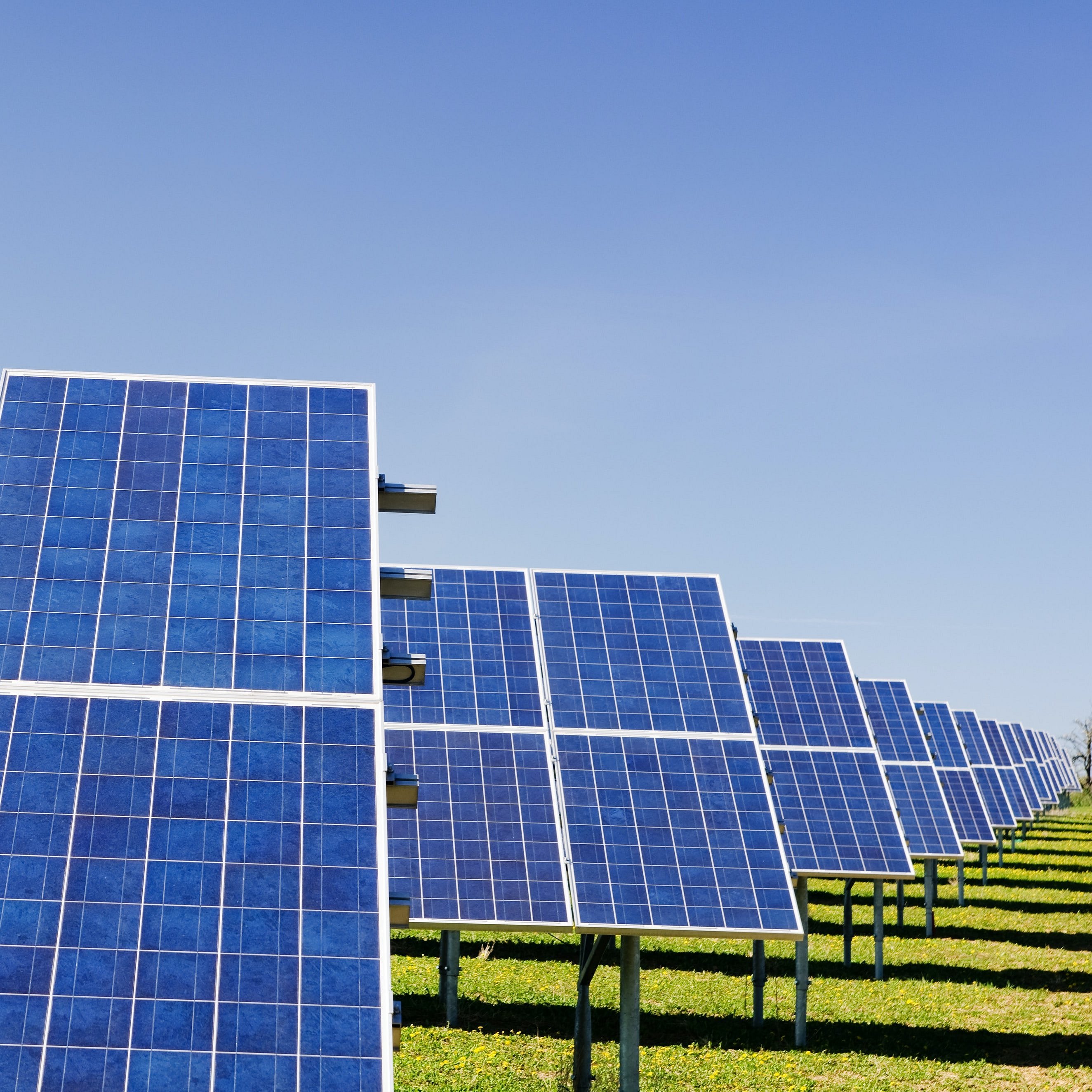 Abgebilet are many solar panels that gain renewable energy.